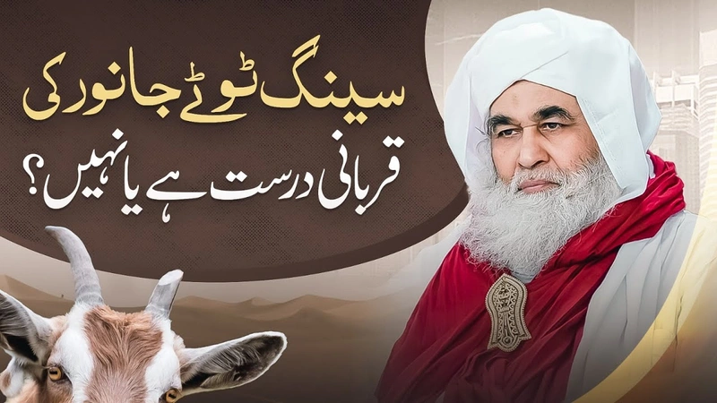 Janwar Ka Seeng Toota Ho To Qurbani Ka Hukum? | Qurbani Ke Masail 2024 | Maulana Ilyas Qadri